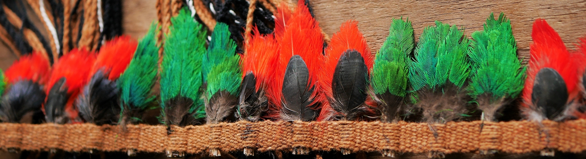 Coiffe awajun, détail